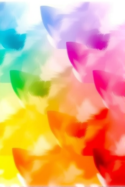 这款应用如何改变你的照片？