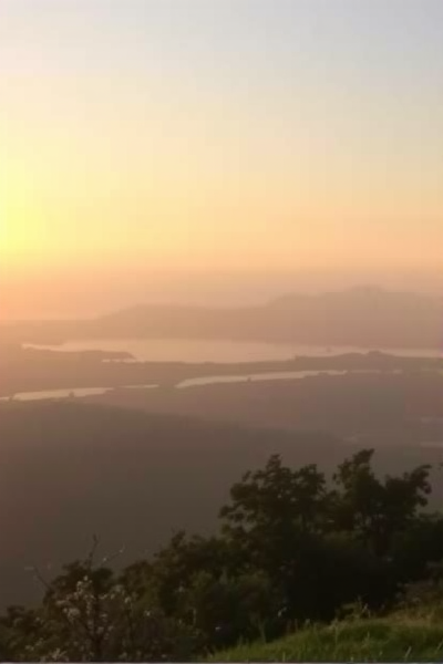 如何利用AI提升工作效率？