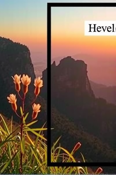 这款AI工具竟能让照片活过来?