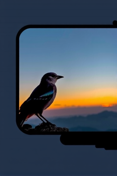 科技前沿:望远镜与AI的奇妙结合