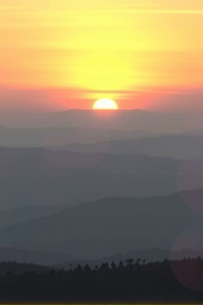 Follow让信息获取如虎添翼