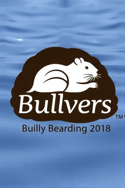 破解四十年难题,忙碌海狸问题的背后秘密