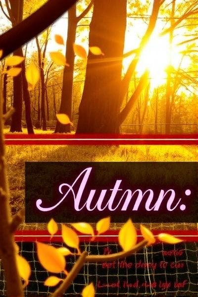 Mage:颠覆创作的AI工具