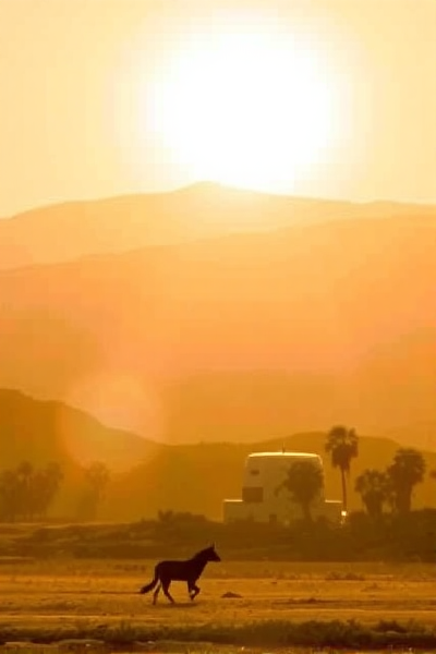 新兴AI搜索引擎的崛起