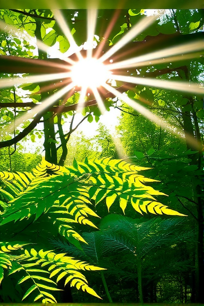 如何利用AutoCut提升视频制作效率?