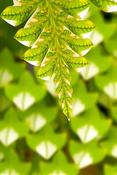 通用人工智能究竟是什么？