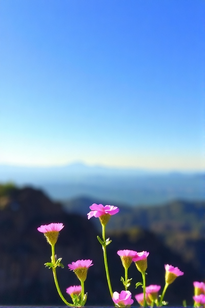 你不知道的AI语音克隆技术
