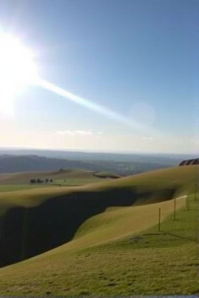 白小喵：你的心理疗愈神器！