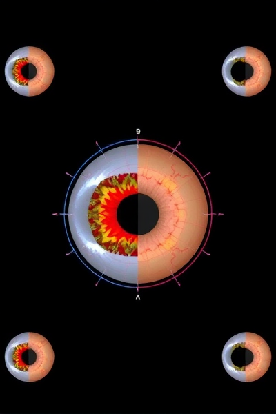 神秘眼科图像生成技术揭晓