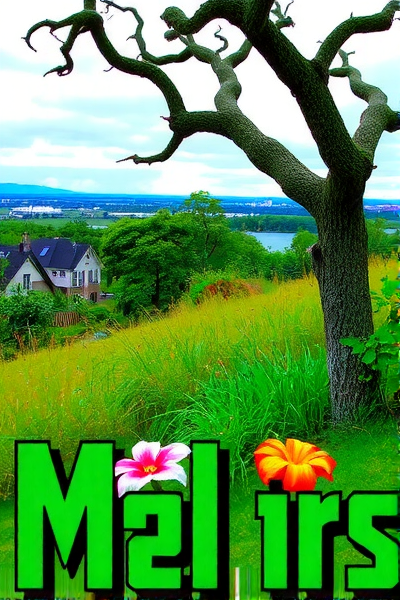 Gemini 2.0：未来AI助手的崛起