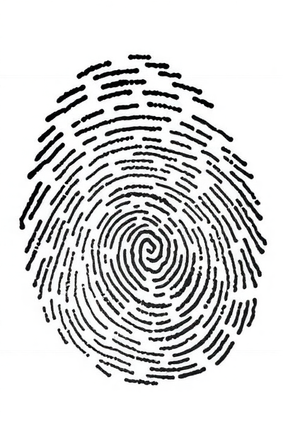 如何识别伪造的AI模型?