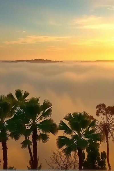 人工智能的未来发展趋势是什么?